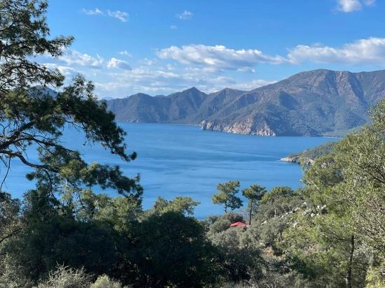 Çandır Full Deniz Manzaralı 20.000m2 Satılık 2b