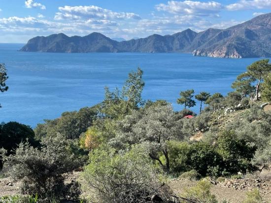 Çandır Full Deniz Manzaralı 20.000m2 Satılık 2b
