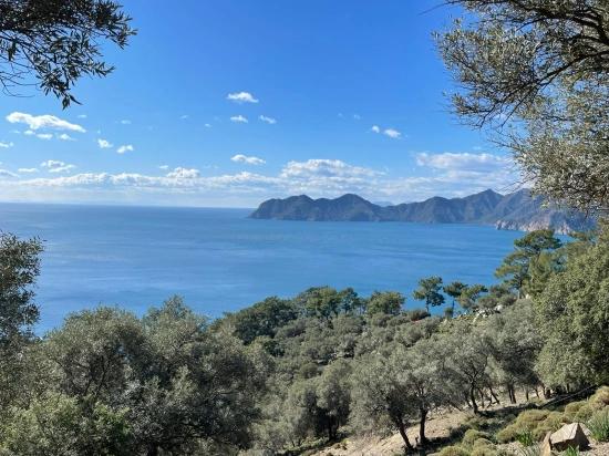 Çandır Full Deniz Manzaralı 20.000m2 Satılık 2b
