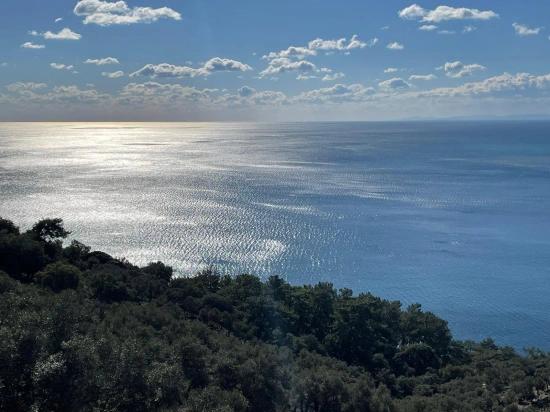 Çandır Full Deniz Manzaralı 20.000m2 Satılık 2b