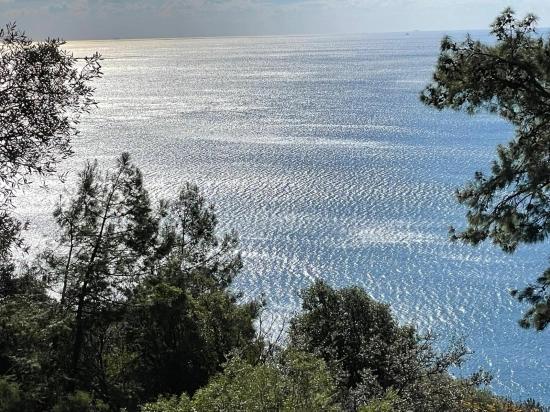 Çandır Full Deniz Manzaralı 20.000m2 Satılık 2b