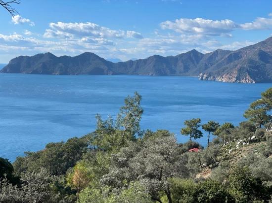 Çandır Full Deniz Manzaralı 20.000m2 Satılık 2b