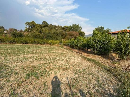 Çandır'da Köy Yerleşik Alanı İçerisinde Rızai-taksimli 1160m2 Satılık Arsa