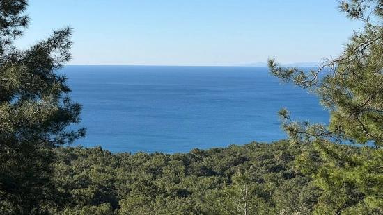 Çandır'da Full Deniz Manzaralı 5715m2 Satılık 2b Tarla