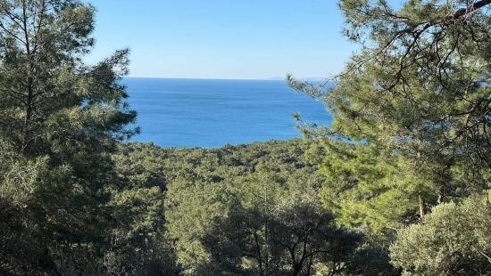 Çandır'da Full Deniz Manzaralı 5715m2 Satılık 2b Tarla