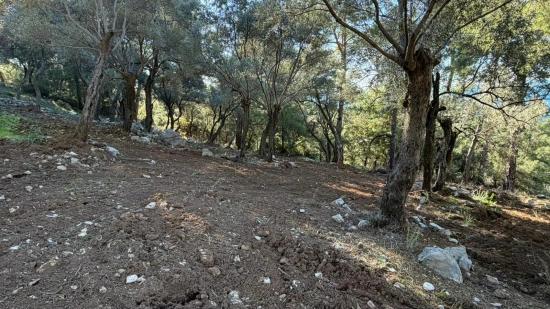 Çandır'da Full Deniz Manzaralı 5715m2 Satılık 2b Tarla