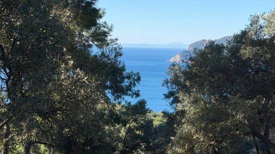 Çandır'da Full Deniz Manzaralı 5715m2 Satılık 2b Tarla