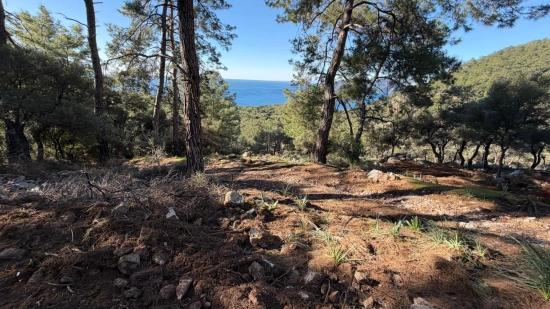 Çandır'da Full Deniz Manzaralı 5715m2 Satılık 2b Tarla