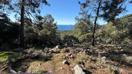 Çandır'da Full Deniz Manzaralı 5715m2 Satılık 2b Tarla