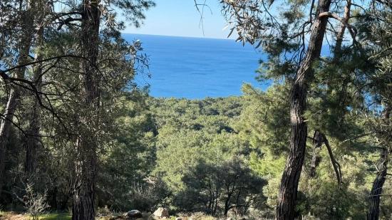 Çandır'da Full Deniz Manzaralı 5715m2 Satılık 2b Tarla