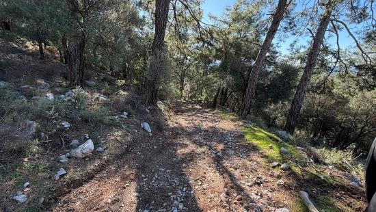 Çandır'da Full Deniz Manzaralı 5715m2 Satılık 2b Tarla