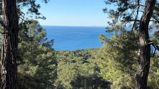 Çandır'da Full Deniz Manzaralı 5715m2 Satılık 2b Tarla