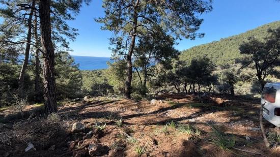 Çandır'da Full Deniz Manzaralı 5715m2 Satılık 2b Tarla