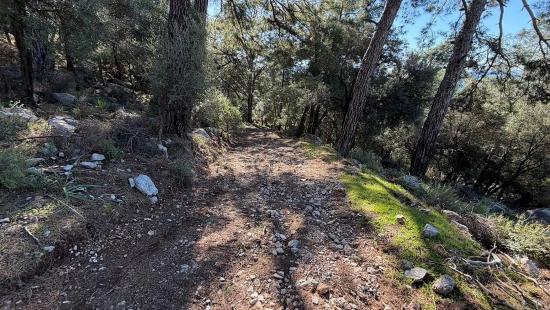 Çandır'da Full Deniz Manzaralı 5715m2 Satılık 2b Tarla