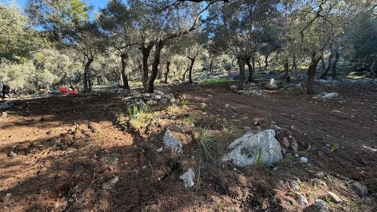 Çandır'da Full Deniz Manzaralı 5715m2 Satılık 2b Tarla
