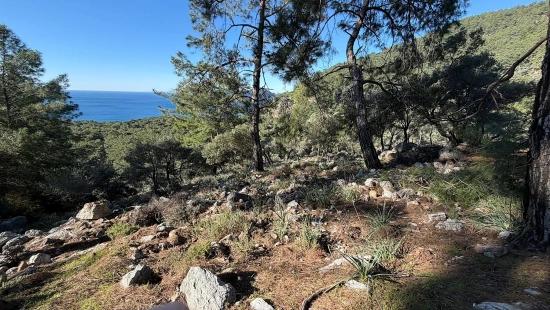 Çandır'da Full Deniz Manzaralı 5715m2 Satılık 2b Tarla