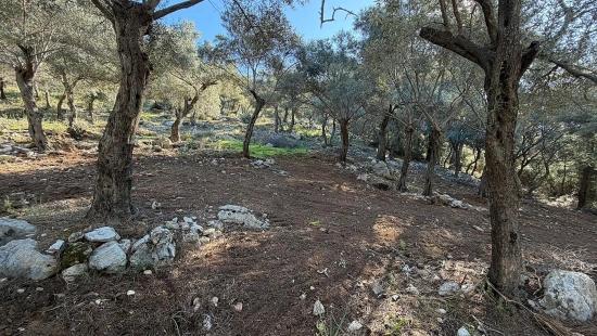 Çandır'da Full Deniz Manzaralı 5715m2 Satılık 2b Tarla