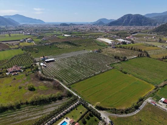 Dalyan Merkeze Yakın 17.550m2 Satılık Bağ-bahçe