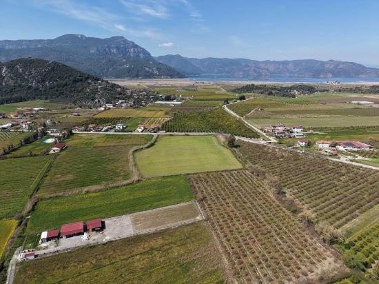Dalyan Merkeze Yakın 17.550m2 Satılık Bağ-bahçe
