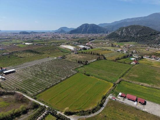 Dalyan Merkeze Yakın 17.550m2 Satılık Bağ-bahçe