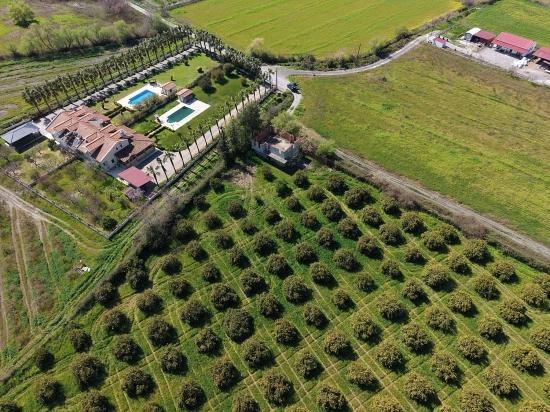 Dalyan Merkeze Yakın 17.550m2 Satılık Bağ-bahçe