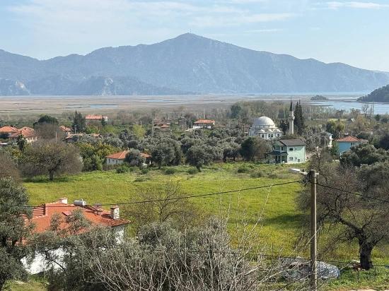 Köyceğiz Çandır Köyü'de Hisseli Rızai Taksimli 2.023m2 Satılık Tarla