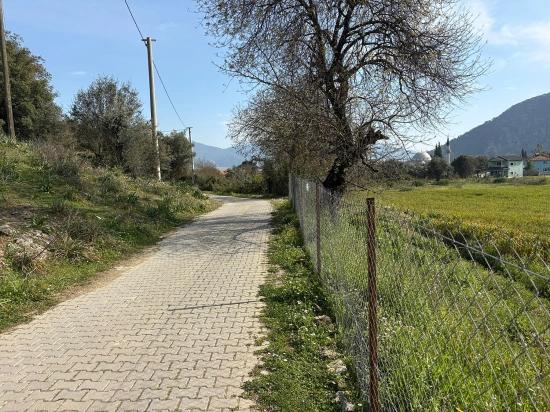 Köyceğiz Çandır Köyü'de Hisseli Rızai Taksimli 2.023m2 Satılık Tarla