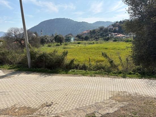Köyceğiz Çandır Köyü'de Hisseli Rızai Taksimli 2.023m2 Satılık Tarla