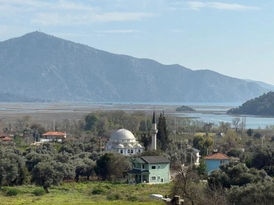 Köyceğiz Çandır Köyü'de Hisseli Rızai Taksimli 2.023m2 Satılık Tarla