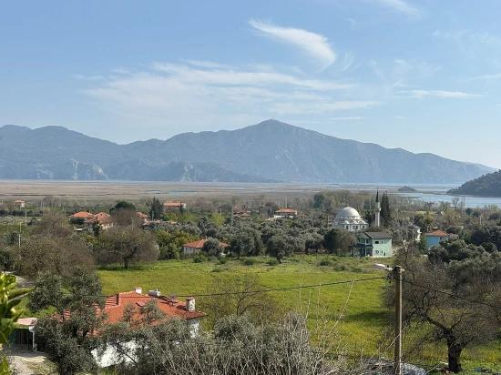 Köyceğiz Çandır Köyü'de Hisseli Rızai Taksimli 2.023m2 Satılık Tarla