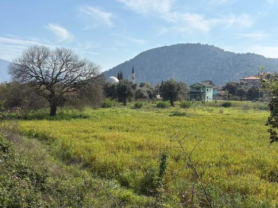 Köyceğiz Çandır Köyü'de Hisseli Rızai Taksimli 2.023m2 Satılık Tarla