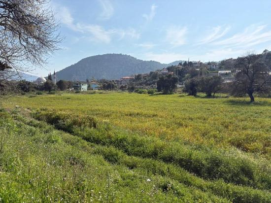 Köyceğiz Çandır Köyü'de Hisseli Rızai Taksimli 2.023m2 Satılık Tarla