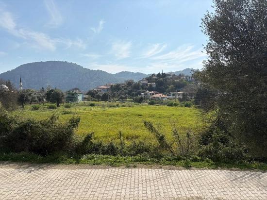 Köyceğiz Çandır Köyü'de Hisseli Rızai Taksimli 2.023m2 Satılık Tarla