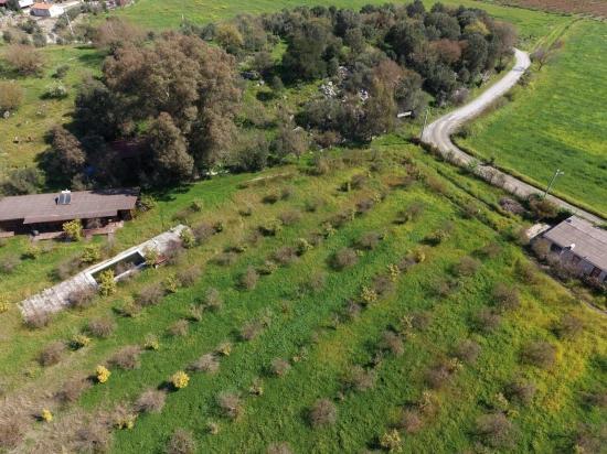 Eskiköy'de 11,000m2 Arsa İçinde Turizm Amaçlı İşletme Satılık