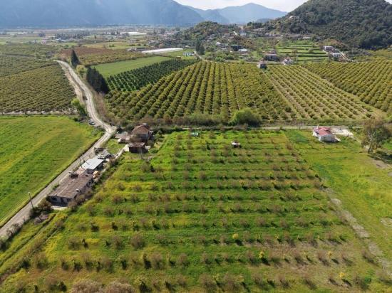 Eskiköy'de 11,000m2 Arsa İçinde Turizm Amaçlı İşletme Satılık