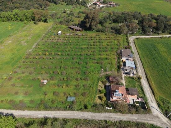Eskiköy'de 11,000m2 Arsa İçinde Turizm Amaçlı İşletme Satılık