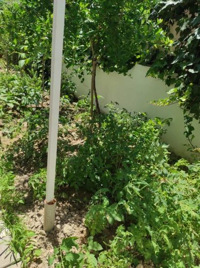 Dalyan Gülpınar'da Köşebaşı 545m2 Arsa İçinde Satılık 4+1 Villa