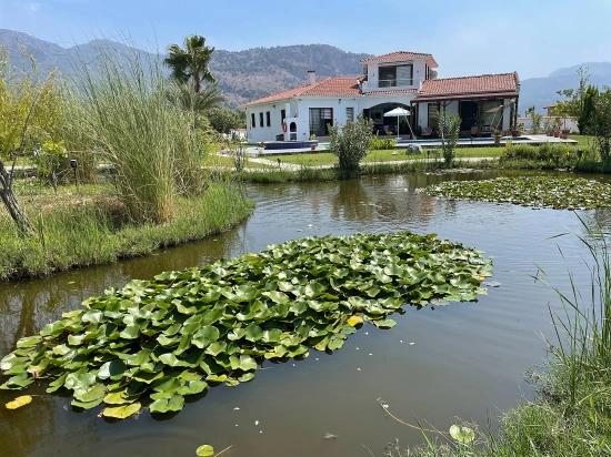 Dalyan İztuzu Manzaralı 7000m2 Arsa İçinde 4+1 Satılık Lüks Villa