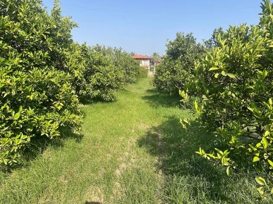 Dalyan Gülpınar'da 722m2 Satılık Arsa