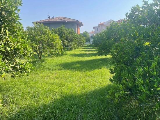 Dalyan Gülpınar'da 722m2 Satılık Arsa