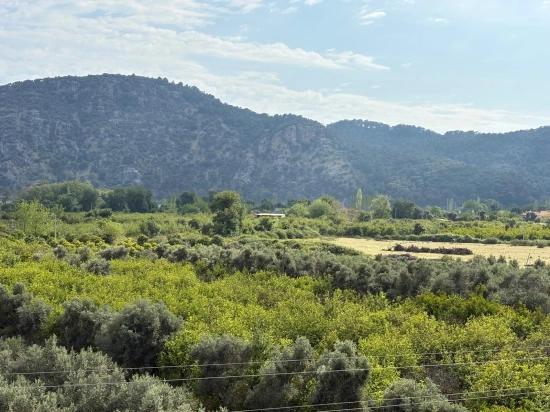 Çandır'da Deniz Ve Göl Manzaralı 1.721m2 Satılık Tarla