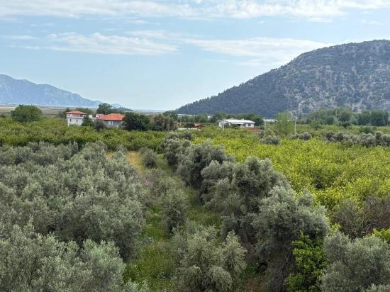 Çandır'da Deniz Ve Göl Manzaralı 1.721m2 Satılık Tarla