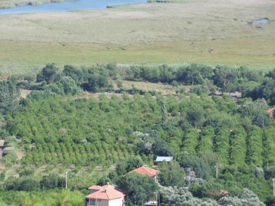 Çandır'da Göl Manzaralı 1252m2 Satılık Arsa