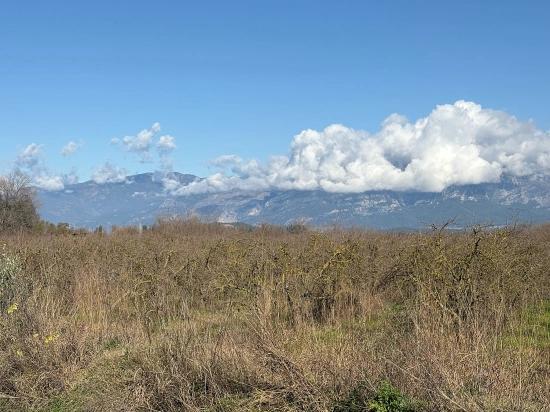 Tepearası'nda 23000m2 Müstakil Satılık Tarla