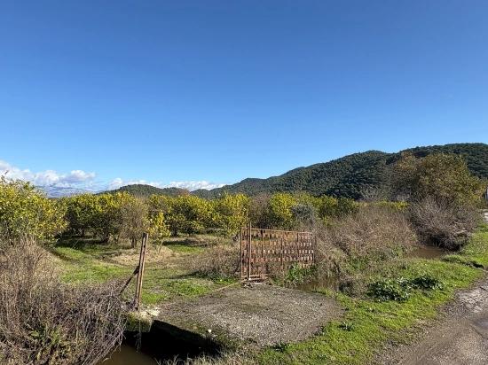 Tepearası'nda 23000m2 Müstakil Satılık Tarla