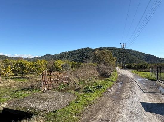 Tepearası'nda 23000m2 Müstakil Satılık Tarla