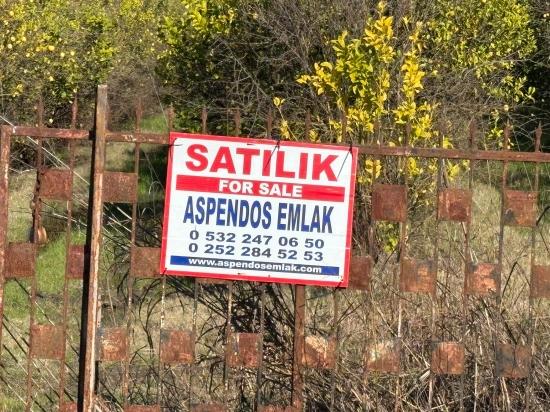 Tepearası'nda 23000m2 Müstakil Satılık Tarla