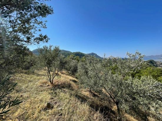 Gökbel'de Full Deniz Manzaralı 3514m2 Satılık Arsa
