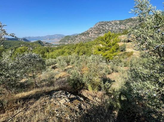 Gökbel'de Full Deniz Manzaralı 3514m2 Satılık Arsa