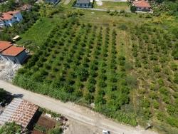 Ortaca Okçular Mah. Satılık Arsa - Konut İmar Durumlu - 1.050 m²